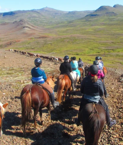 A group of people on horseback ride along a rocky trail in a vast mountainous landscape.