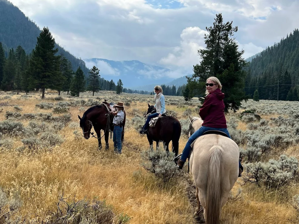 Three people on horseback in a grassy meadow with distant mountains and pine trees under a cloudy sky.