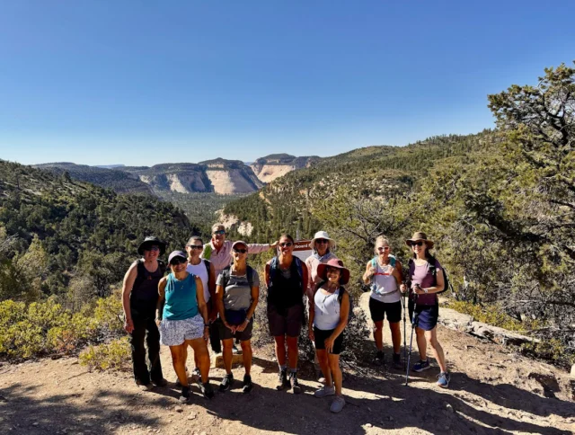 A group of people stands on a hiking trail in a scenic forested landscape with distant cliffs under a clear blue sky.
