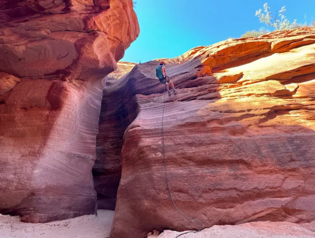 A person rappels down a sandstone rock face in a canyon under a clear blue sky.